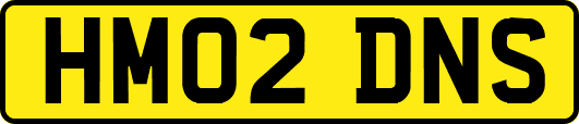 HM02DNS