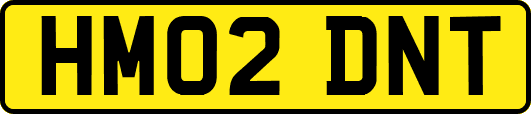 HM02DNT