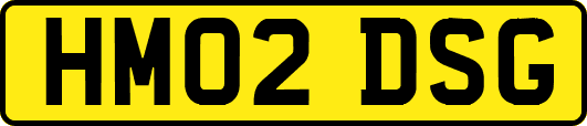 HM02DSG