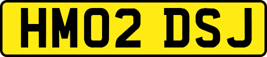 HM02DSJ
