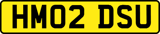 HM02DSU