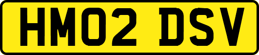 HM02DSV