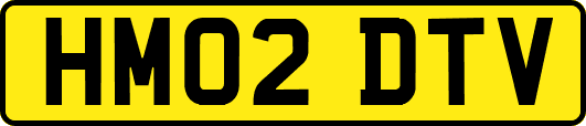HM02DTV