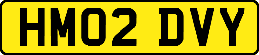HM02DVY