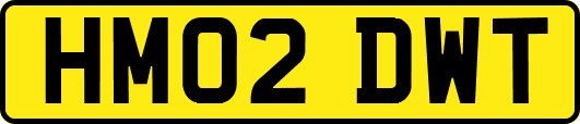 HM02DWT