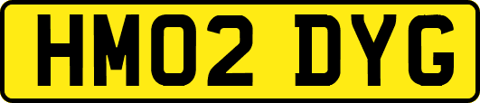 HM02DYG