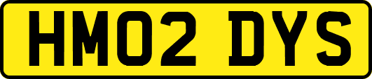 HM02DYS