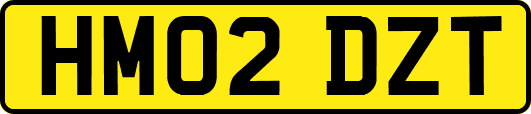 HM02DZT
