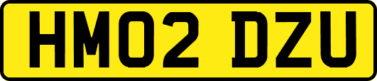 HM02DZU