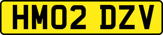HM02DZV