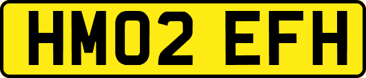 HM02EFH