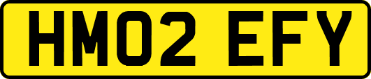 HM02EFY