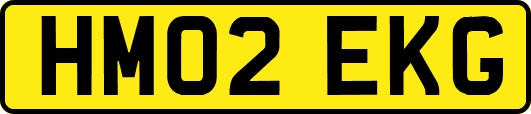 HM02EKG