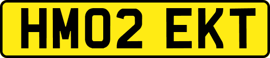 HM02EKT