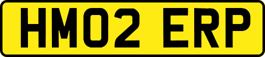 HM02ERP