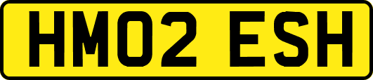 HM02ESH
