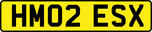 HM02ESX