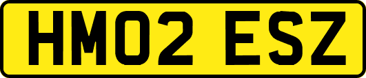 HM02ESZ