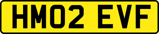 HM02EVF