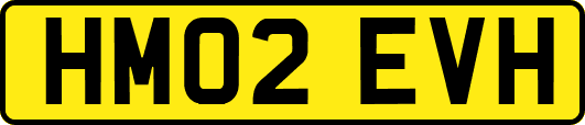 HM02EVH