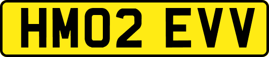 HM02EVV