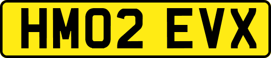 HM02EVX
