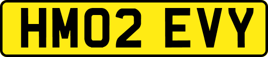 HM02EVY