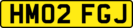 HM02FGJ