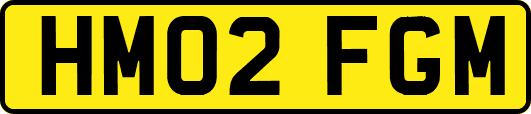 HM02FGM