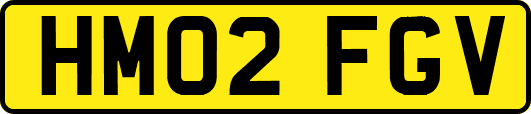 HM02FGV