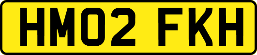 HM02FKH