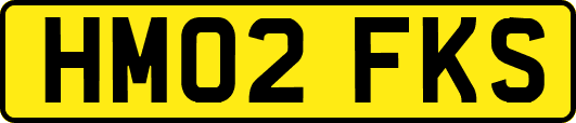 HM02FKS