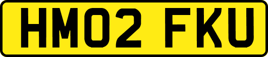 HM02FKU
