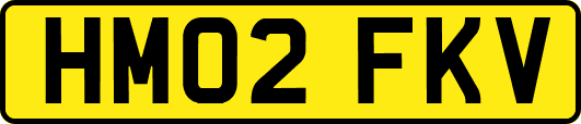 HM02FKV