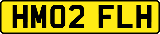 HM02FLH