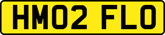 HM02FLO