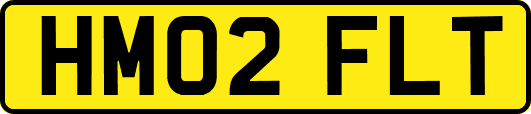 HM02FLT