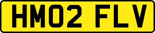 HM02FLV