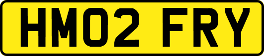 HM02FRY