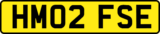 HM02FSE