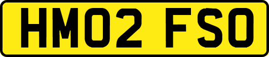 HM02FSO