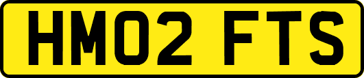 HM02FTS