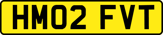 HM02FVT