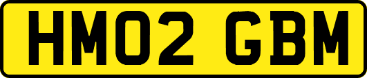 HM02GBM
