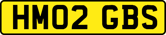 HM02GBS