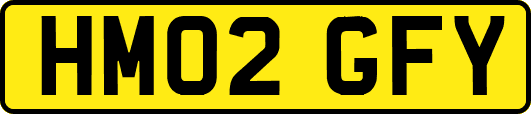 HM02GFY