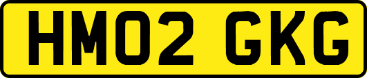 HM02GKG