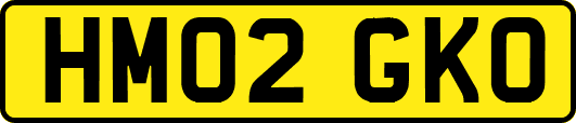 HM02GKO