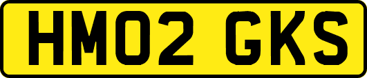 HM02GKS