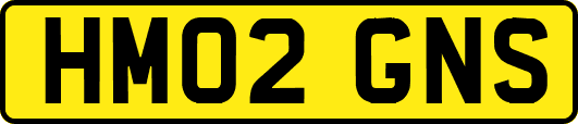 HM02GNS
